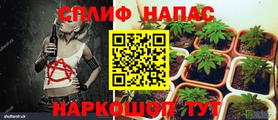 хмурый Тула