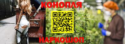 хмурый Тула
