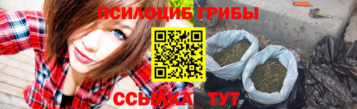 где можно купить   Вход с VPN  Кинешма  Псилоцибиновые грибы ЛСД 